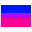 Bisexual
